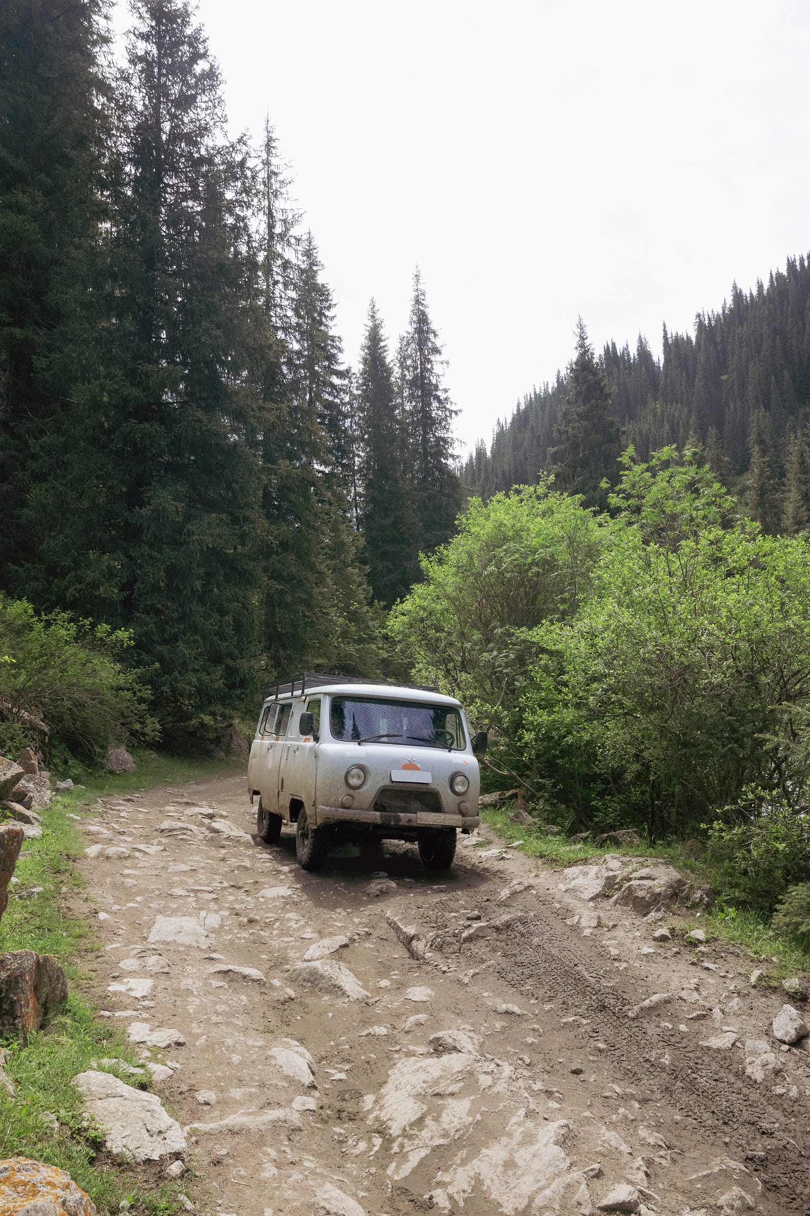 An army-surplus van on the track through the spruce