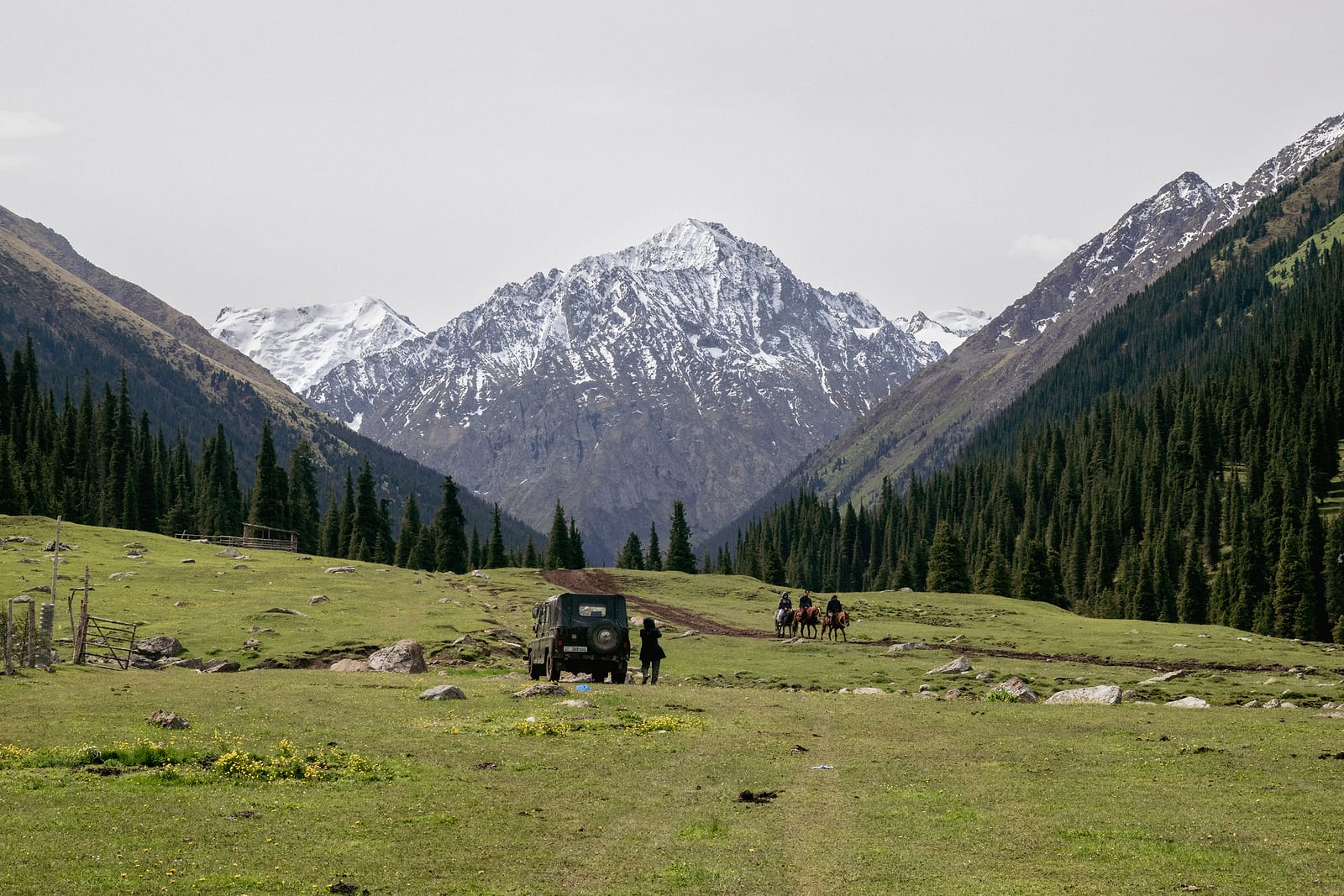 Horses and a jeep under the snow line
